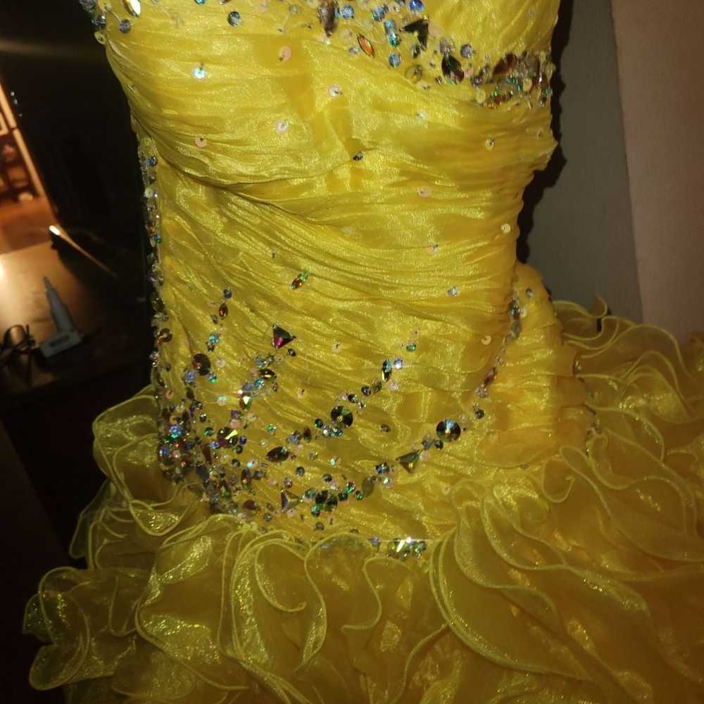 Tiffany design prom dress size 8 - image 6