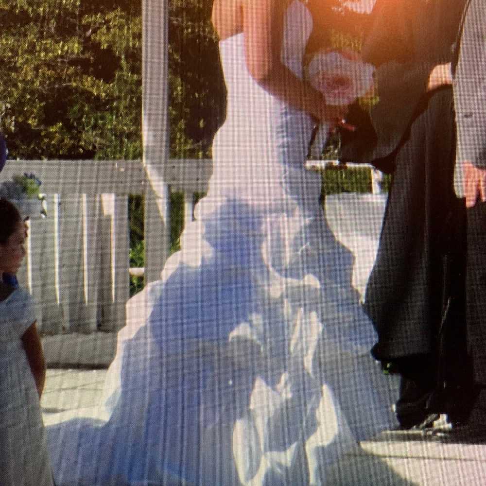 cleaned & preserved David’s Bridal wedding dress … - image 5