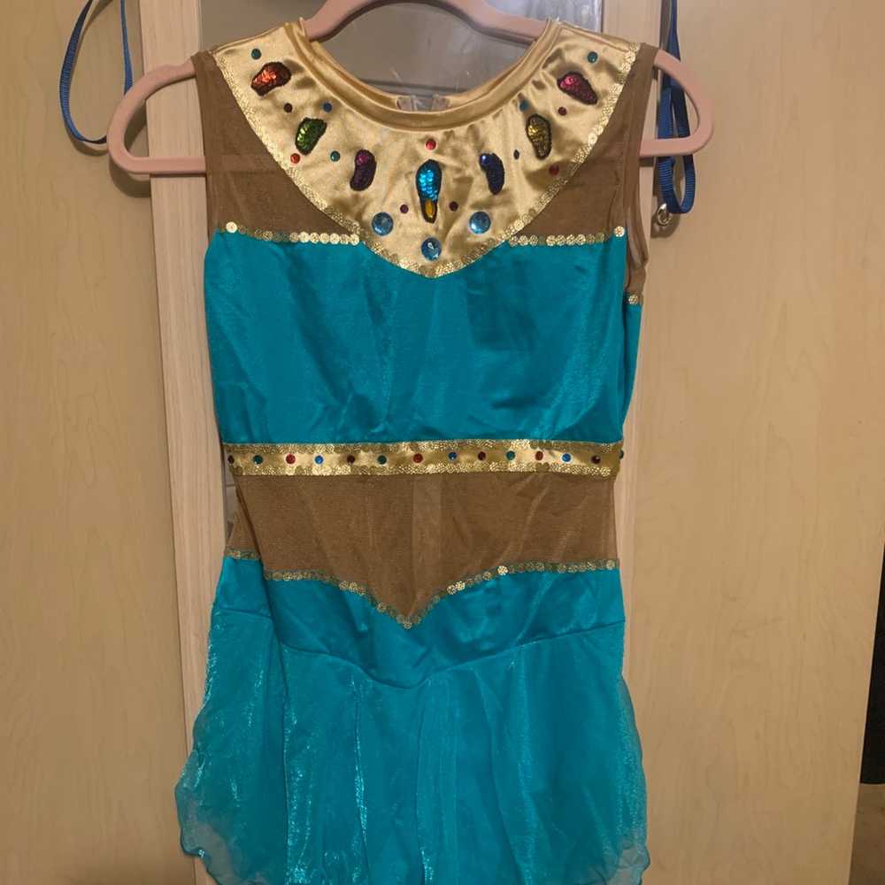 Custom Egyptian Figre Skating Dress M Cirque Du S… - image 1