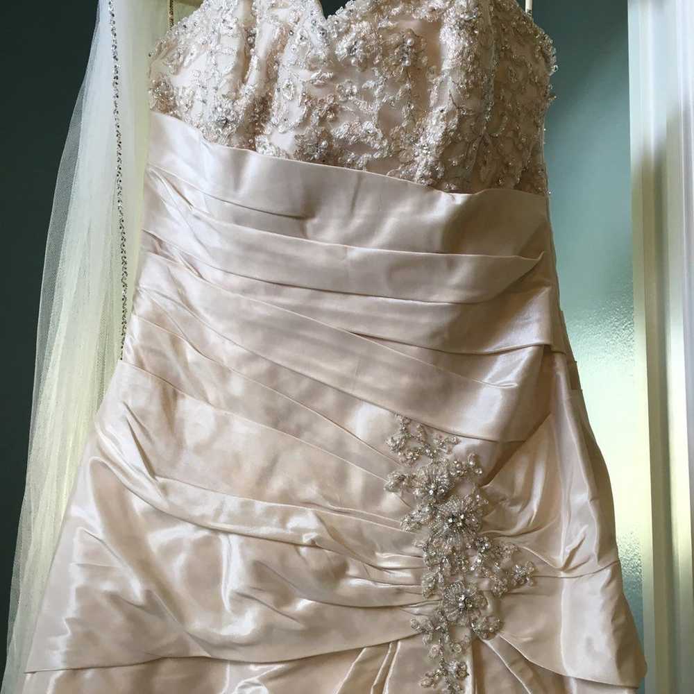Maggie Sottero Size 12 Wedding Dress - image 2