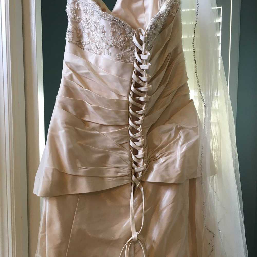 Maggie Sottero Size 12 Wedding Dress - image 4