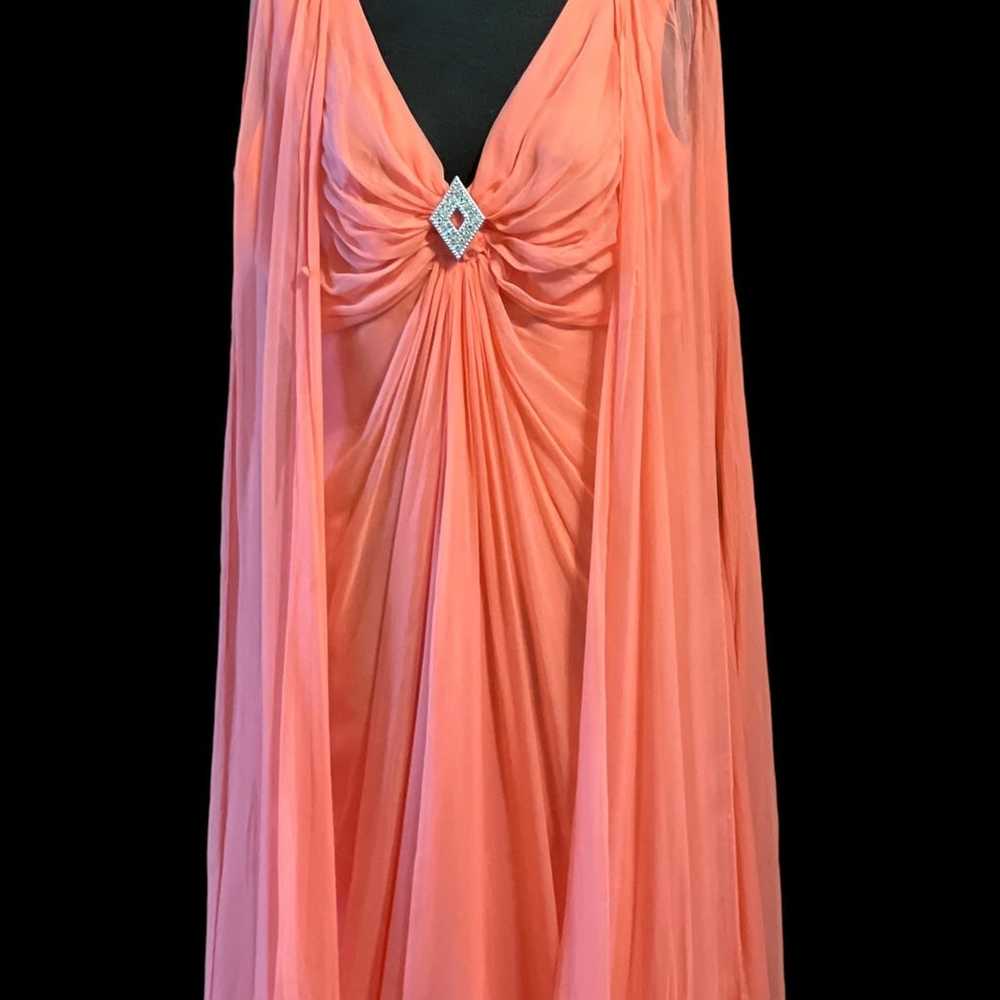 Vintage 60's Emma Domb coral whismical gown dress - image 4