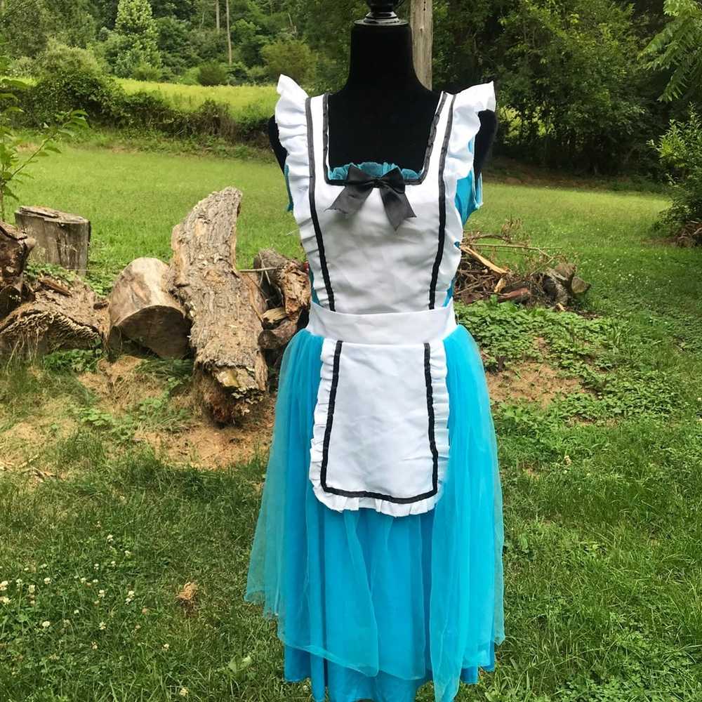 Alice & Wonderland Blue Apron Dress - image 2