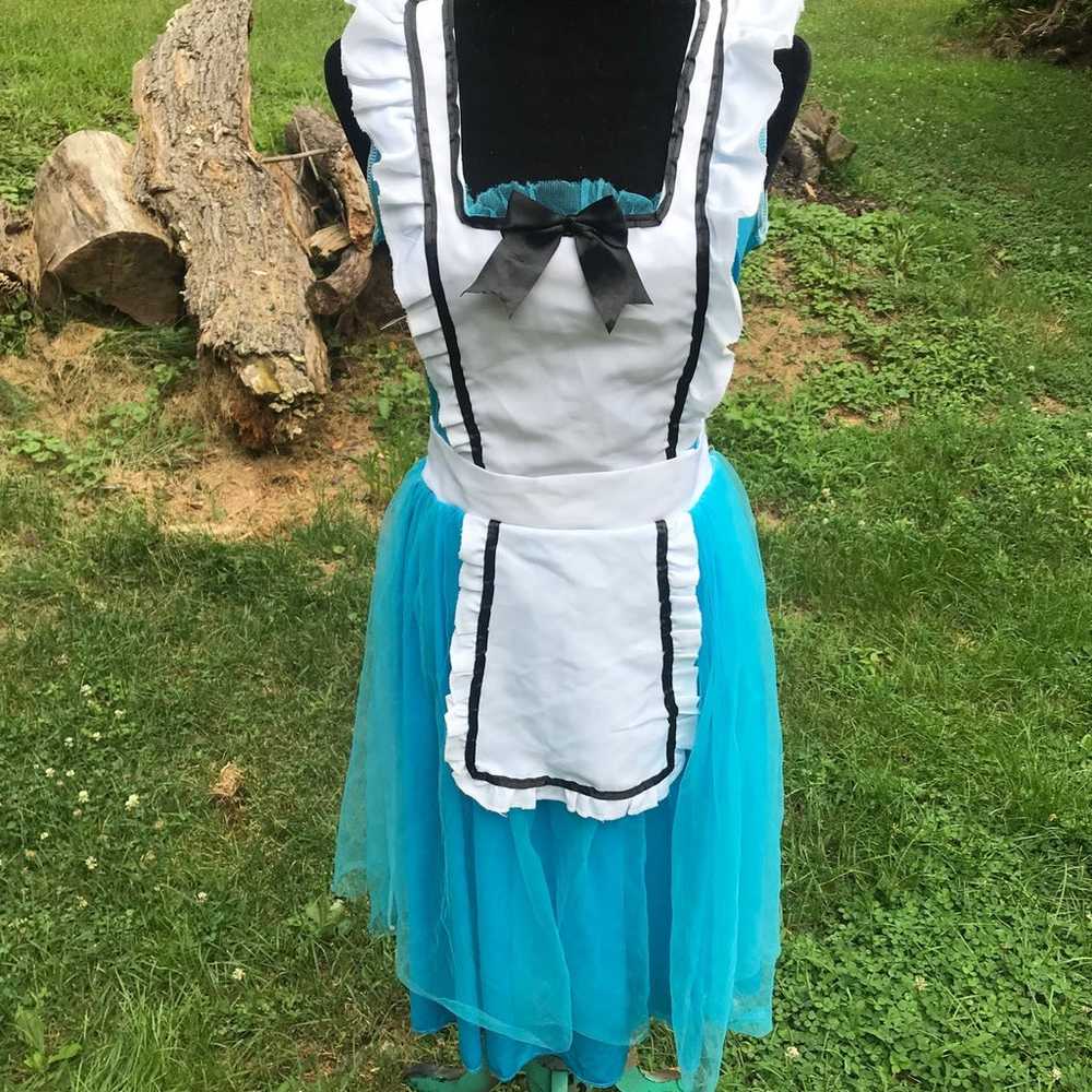 Alice & Wonderland Blue Apron Dress - image 3