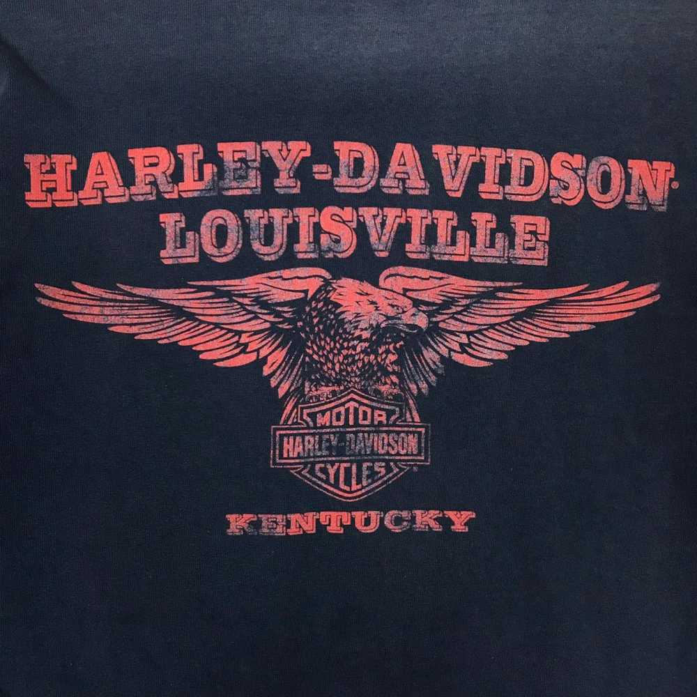 Harley Davidson Vintage Harley Davidson Sun Faded… - image 9