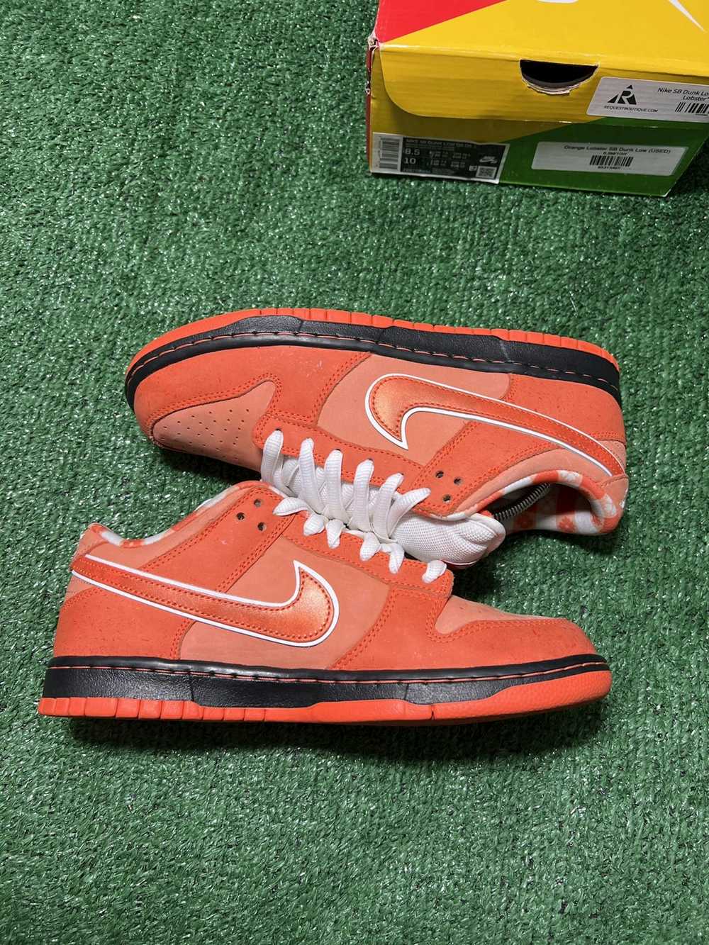 Concepts × Nike Nike Dunk low sb Orange Lobster S… - image 3