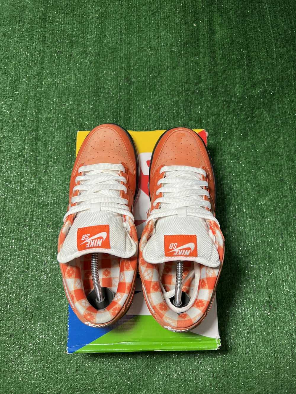 Concepts × Nike Nike Dunk low sb Orange Lobster S… - image 6