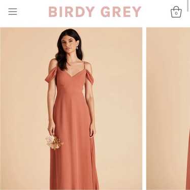 Birdy grey bridesmaid dress terracotta long devin… - image 1