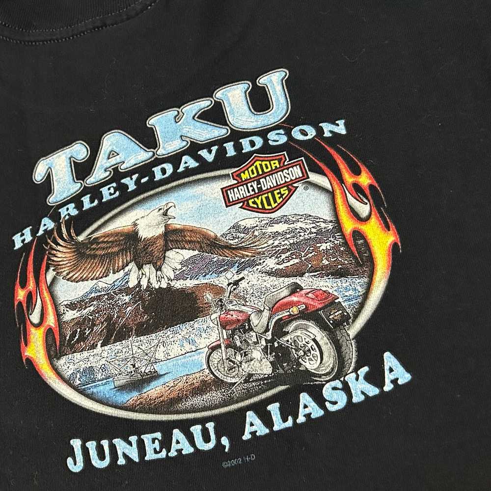 ‘02 Harley Davidson Pirate/Juneau, Alaska - image 10