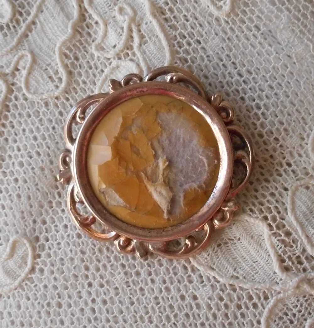 Antique Photograph Pin Gold Plated Ornate Frame P… - image 7