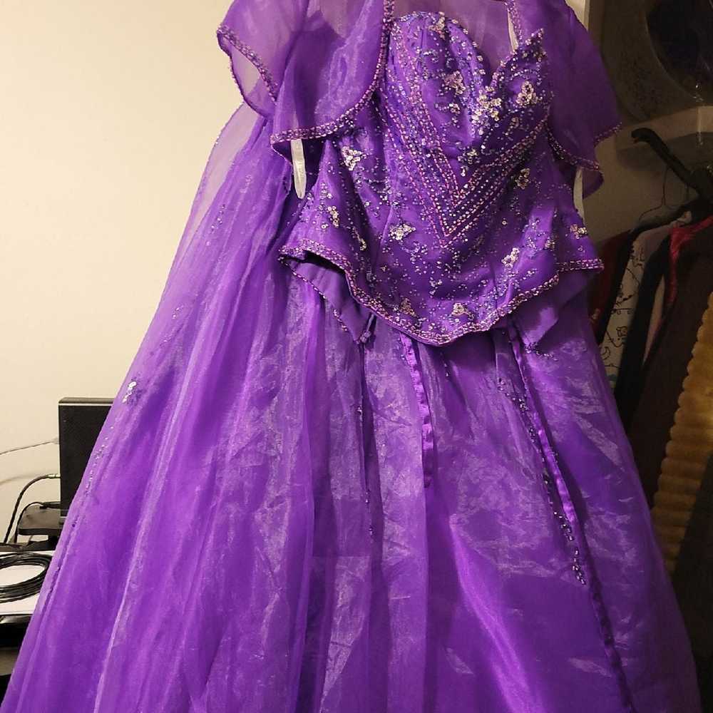 Mexican Quinceañera Dress - image 6