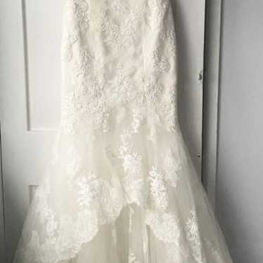 Pronovias Mariana Wedding Dress