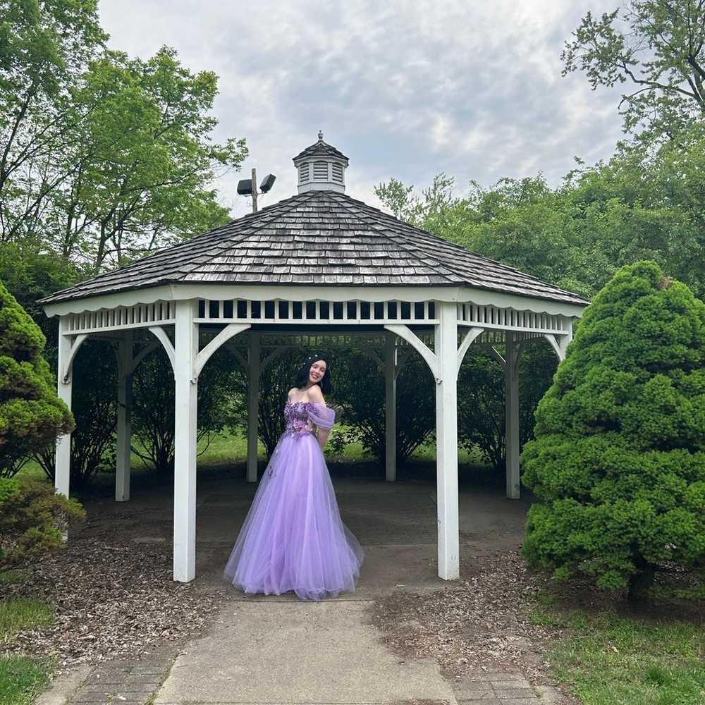 Purple Fairy Ball Gown - image 1