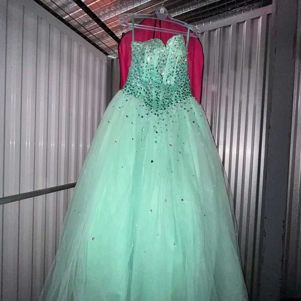 Special Occasion Dress (Sweet 16/Quinceanera/Prom) - image 1