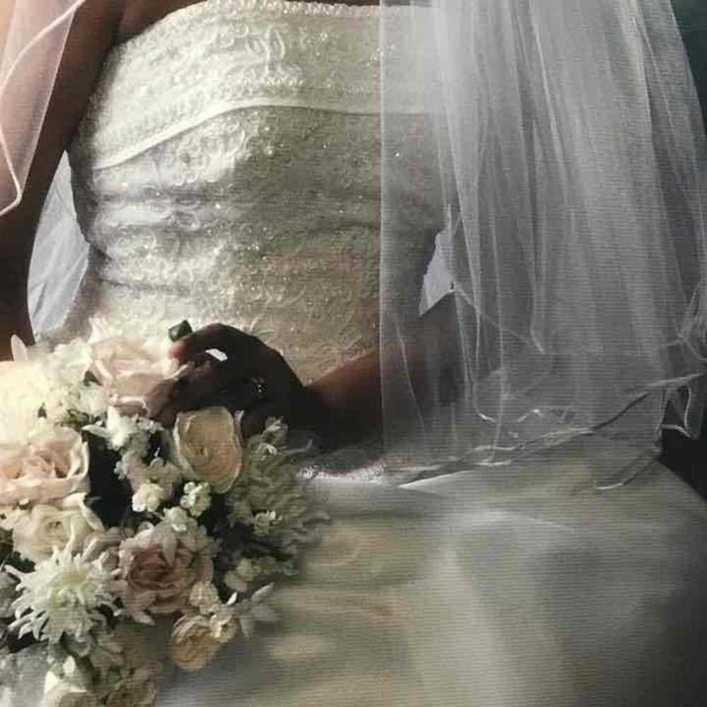 Beautiful Wedding Gown - image 4
