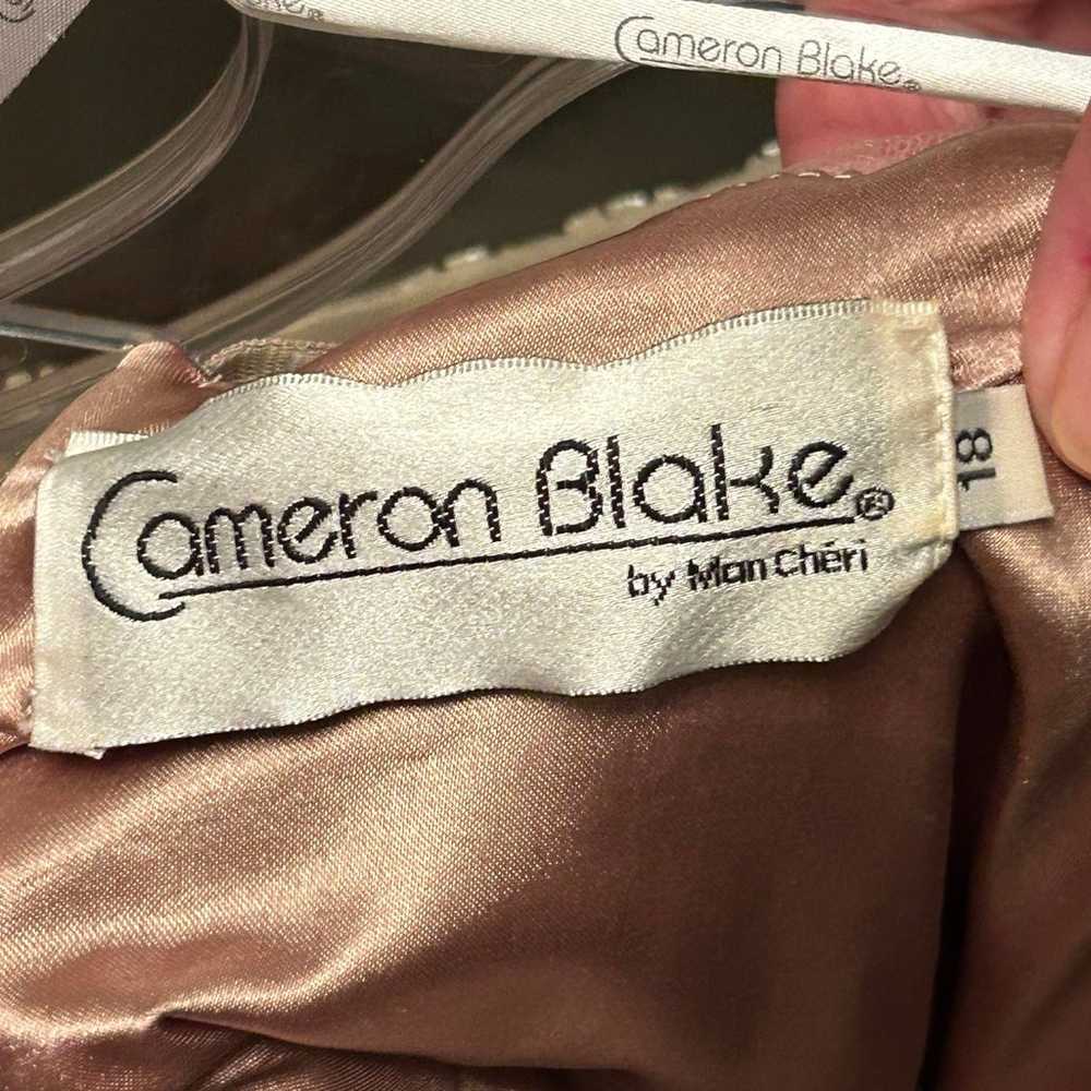 Cameron Blake Mother of the Bride/Groom Dress - image 6