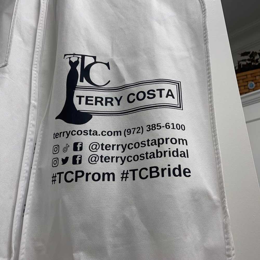 Terry Costa Prom Dress - image 9