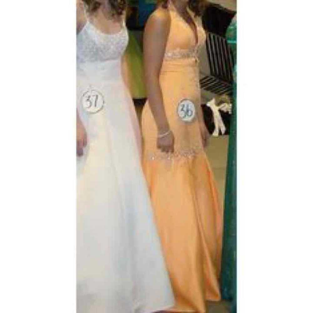 Orange Mermaid Prom/Pageant Dress - image 3