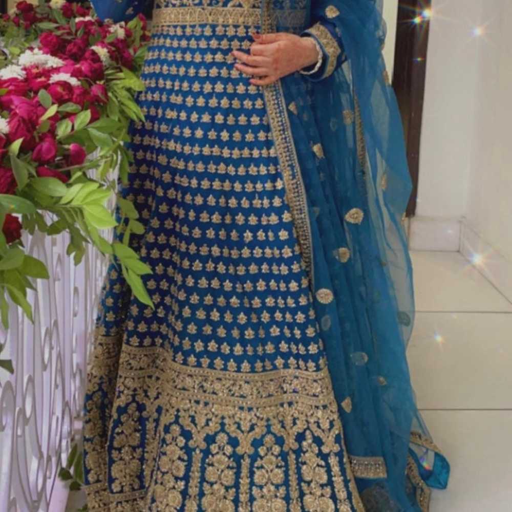 Pakistani/Indian wedding dress - image 1