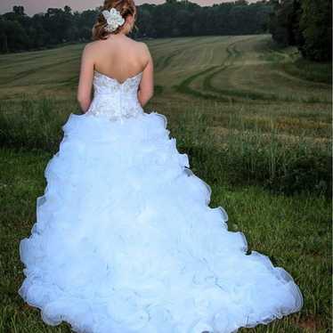 Wedding Gown - image 1