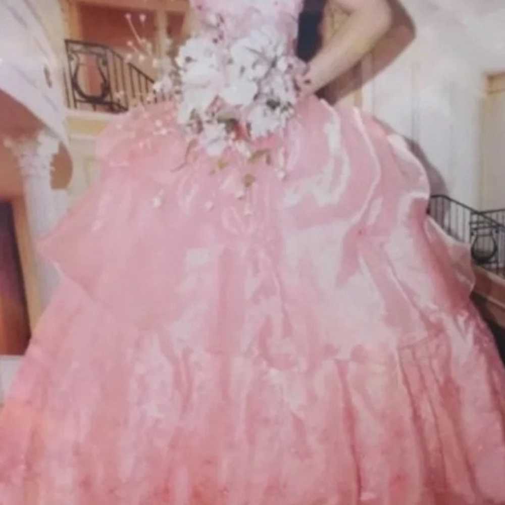 quinceanera dress (Clean, presevered) - image 11