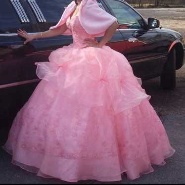 quinceanera dress (Clean, presevered) - image 1