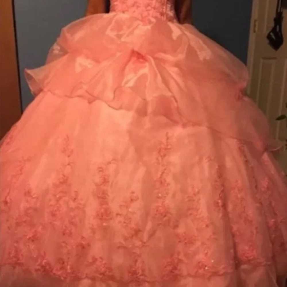 quinceanera dress (Clean, presevered) - image 8