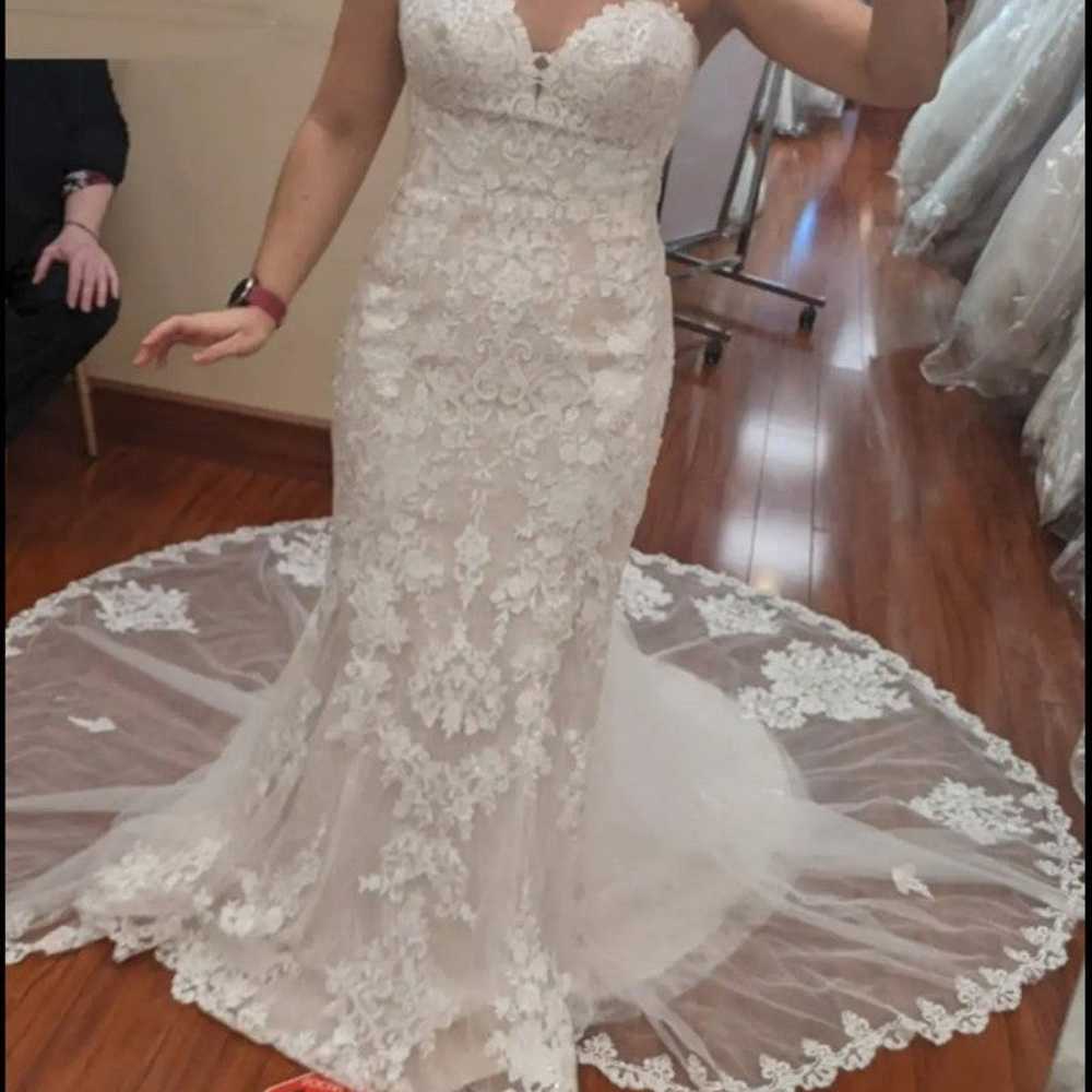 Stella York 6814 Wedding Dress - image 2