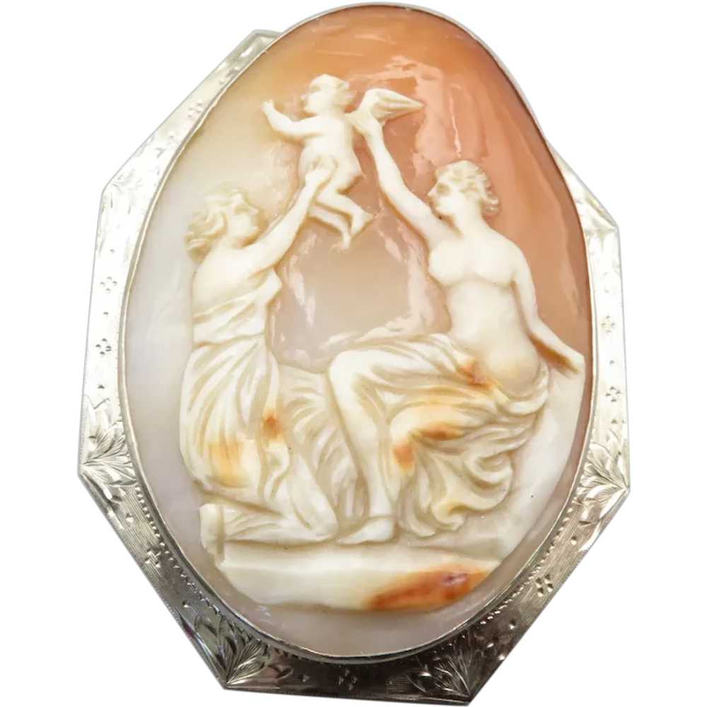 Victorian Carved Shell Cameo Pin Pendant in 14k W… - image 1
