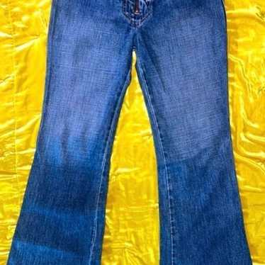 Hudson Jeans Black Y2K Collin Skinny Flap Pocket Low Rise Jeggings Size 30