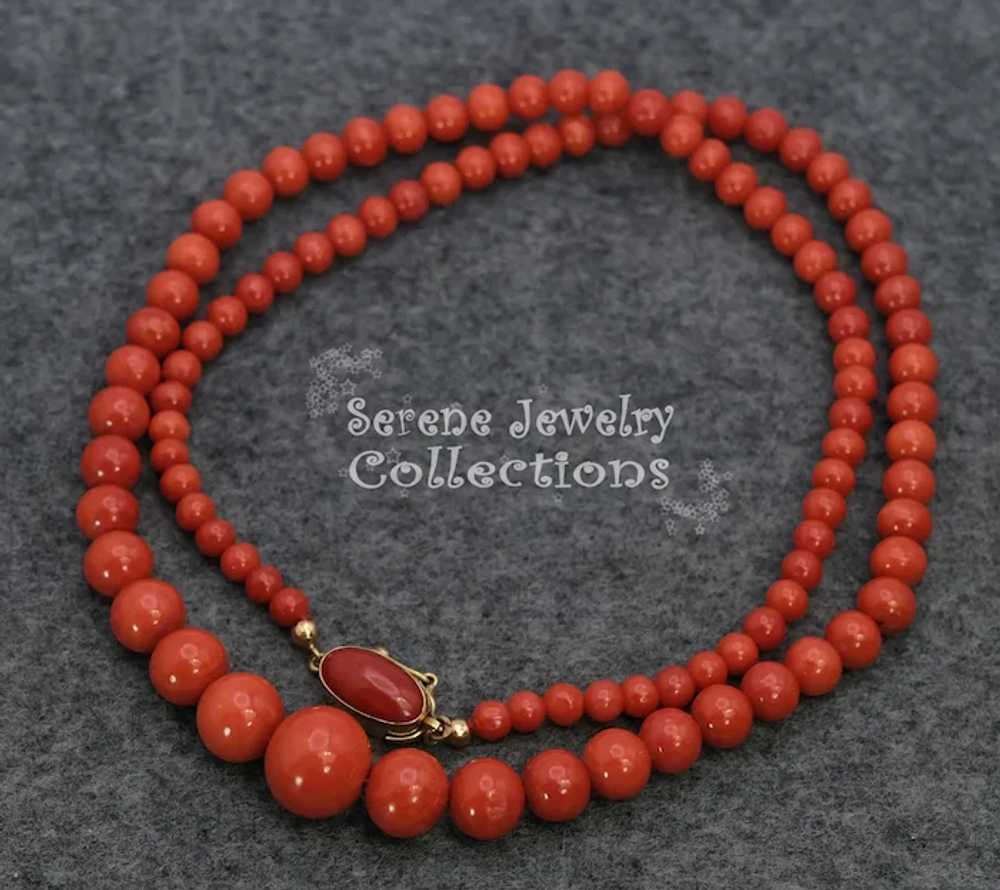 4.3MM-12.3mm Italian Red Coral Round Bead 14k Sol… - image 5