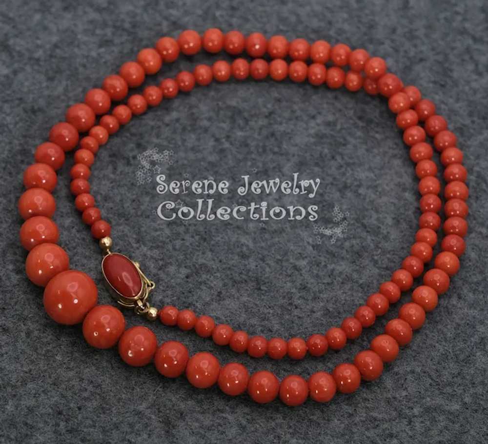 4.3MM-12.3mm Italian Red Coral Round Bead 14k Sol… - image 8