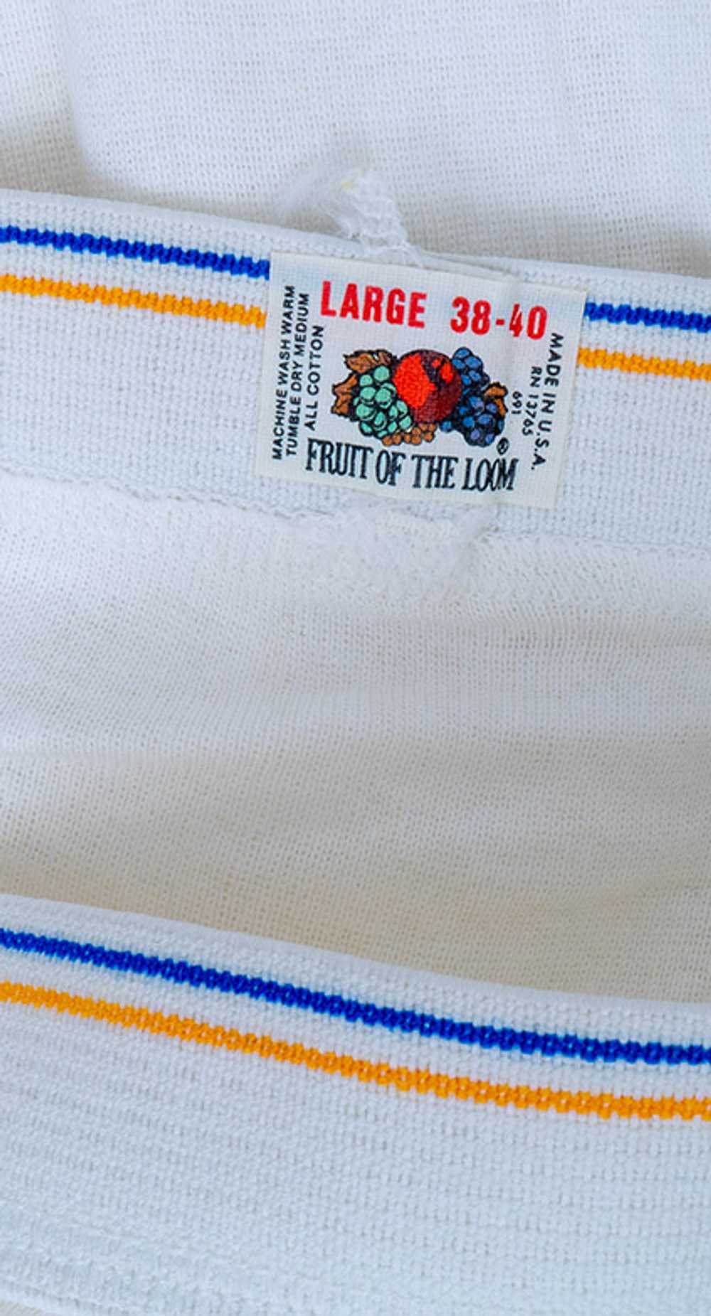 Vintage 1960s-70s Fruit of the Loom Briefs - image 1