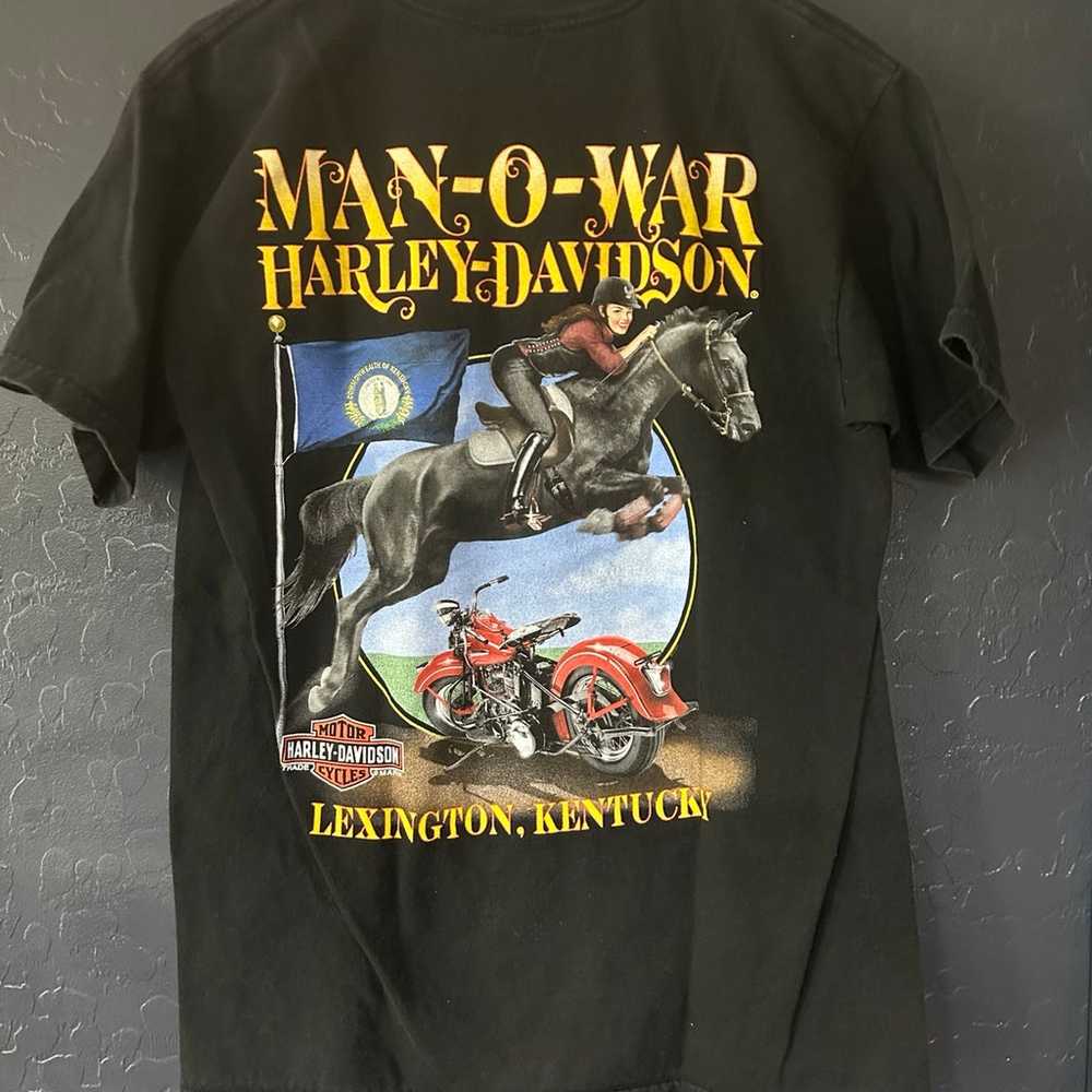 Harley Davidson Lexington T-Shirt Men’s Medium EUC - image 3