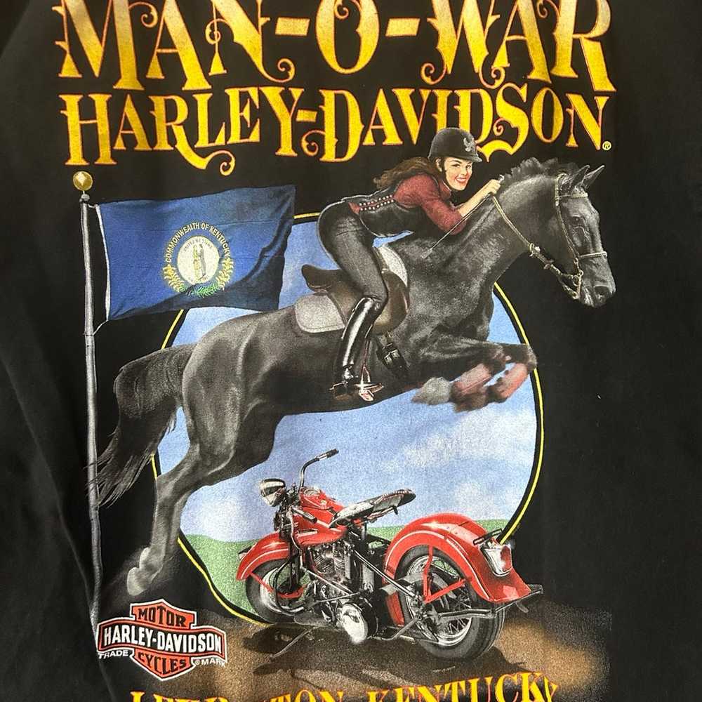 Harley Davidson Lexington T-Shirt Men’s Medium EUC - image 4