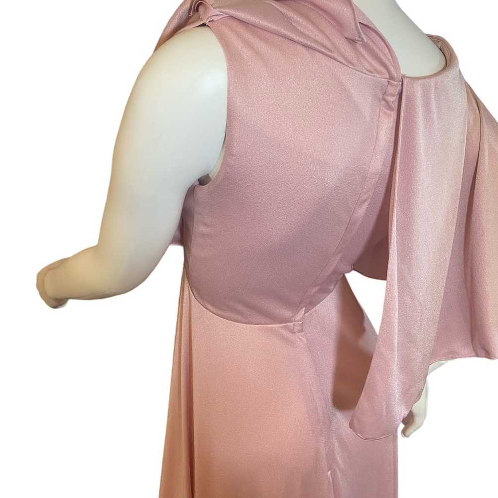 70's Vintage Pink Grecian Gown by Celyce Designs - image 5