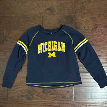 Michigan Cropped Sweater - image 1