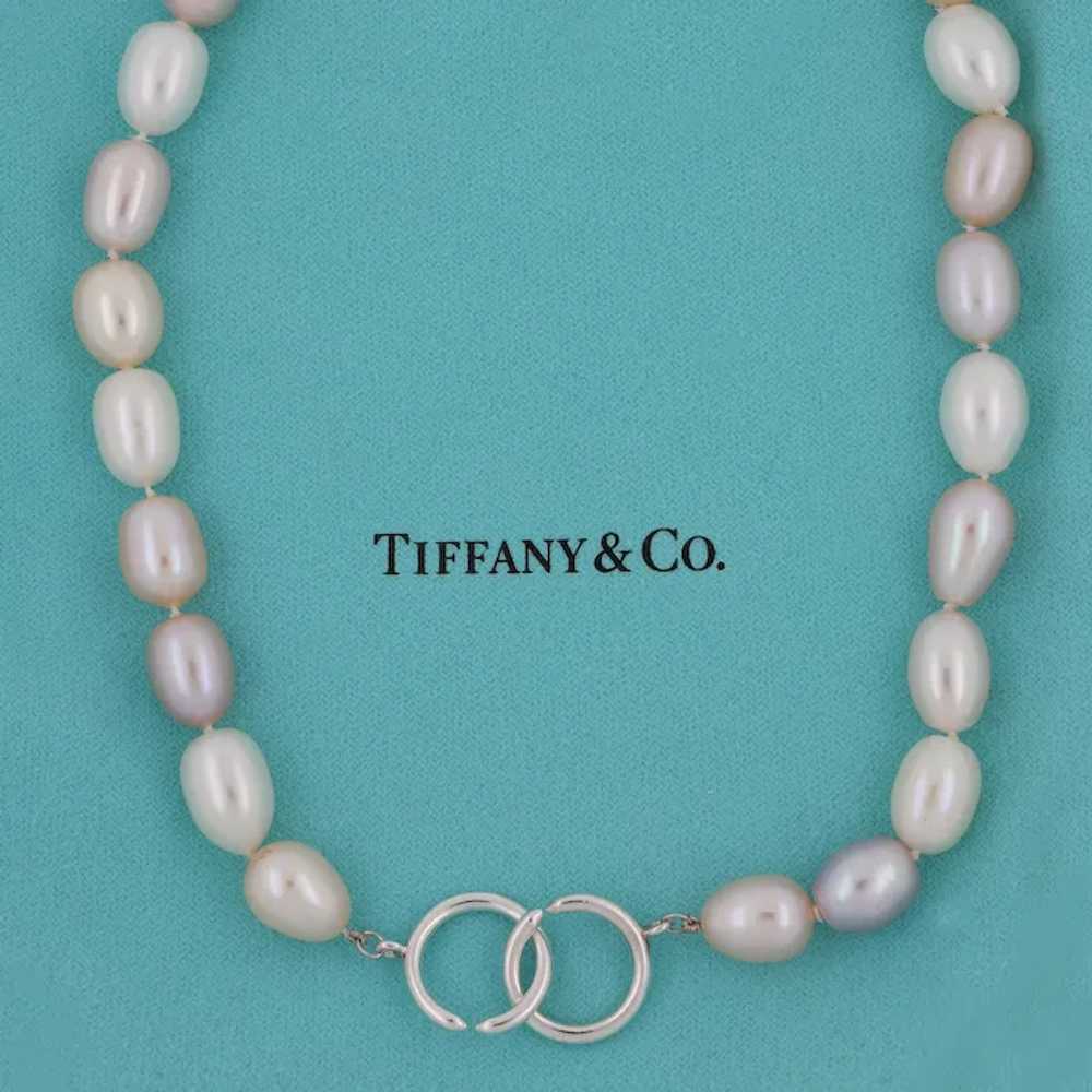 Tiffany & Co. Paloma Picasso Freshwater Pearl Nec… - image 2