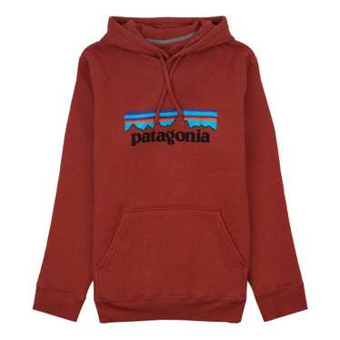 Patagonia Men's P-6 Logo Lightweight Crew Sweatshirt … - Gem