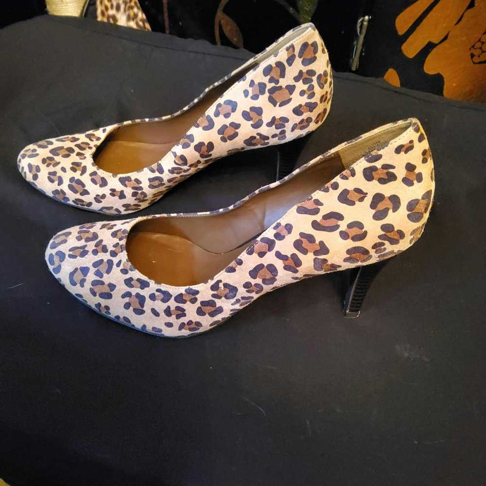 Designer 10 Domestic Leopard Heels - image 2
