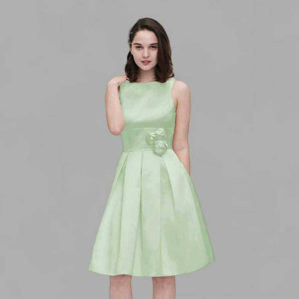 NBDN Nobrandedon Dessy Collection Lime Green Dres… - image 8