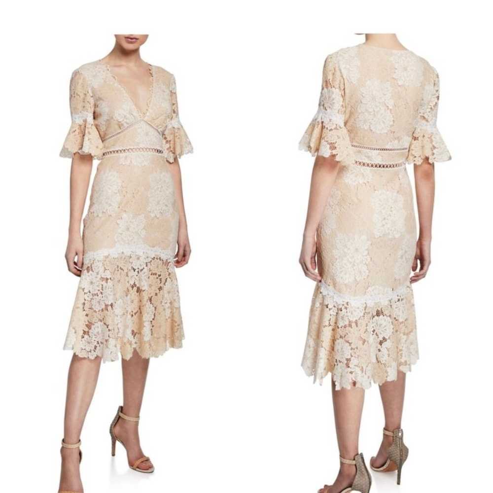 Saylor lace dress - image 1