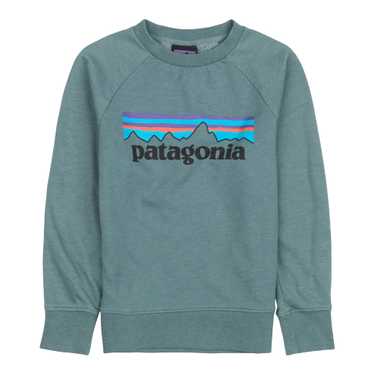 Patagonia - Kids' Lightweight Crew Sweatshirt - image 1