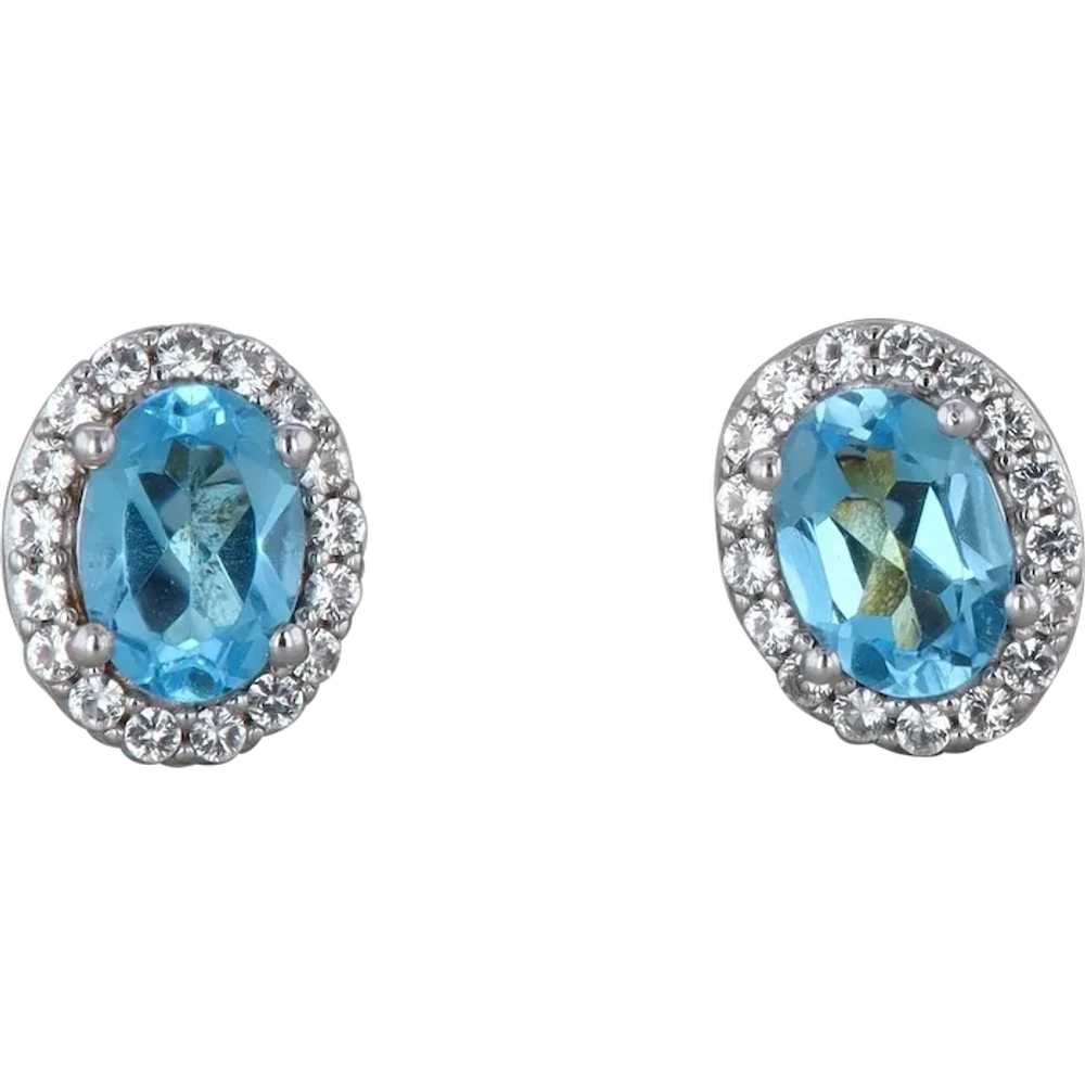 Sterling Silver Blue Topaz Earrings - image 1