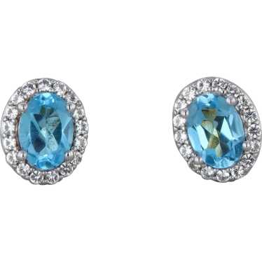 Sterling Silver Blue Topaz Earrings - image 1