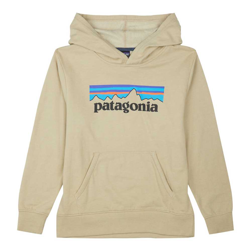 Patagonia - Kids' Lightweight Graphic Hoody Sweat… - image 1