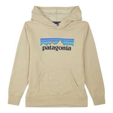 Patagonia - Kids' Lightweight Graphic Hoody Sweat… - image 1