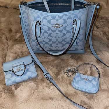 Coach purse/crossbody petal set | Coach purses, Fashion handbags, Coach  crossbody purse