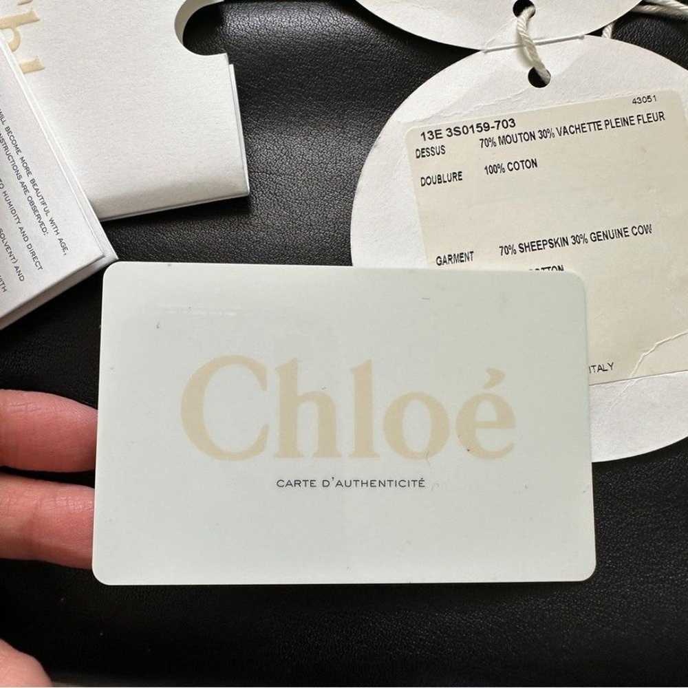 NEW Chloe Alice Medium Handbag in Nude Pink - image 11