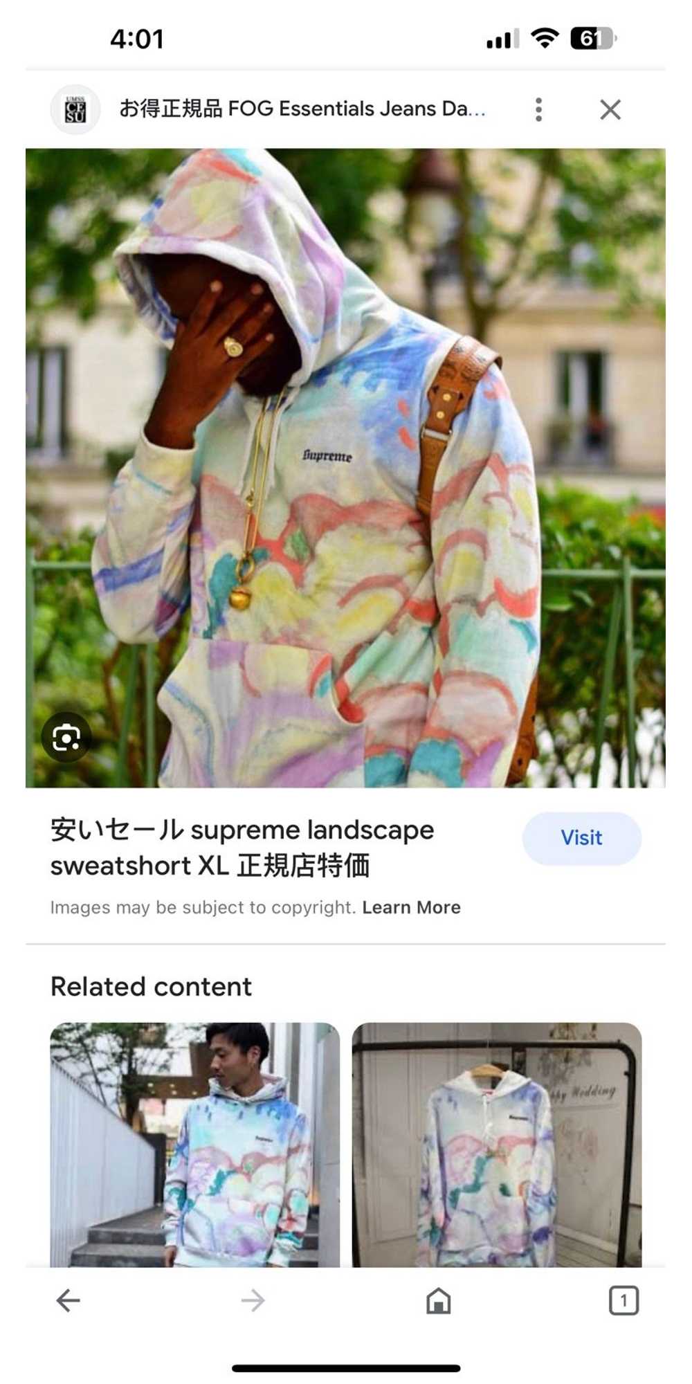 Supreme Supreme Landscape Hooded Sweatshirt Multi… - image 6